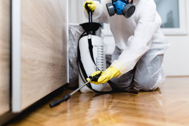 Wasp Removal Services in Thomaston, NY