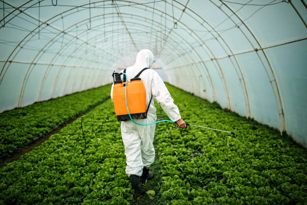 Best Mosquito Control Services  in Thomaston, NY