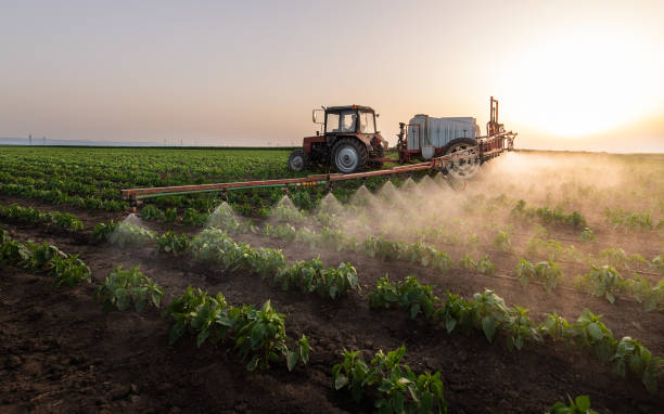Best Pest Removal Services  in Thomaston, NY