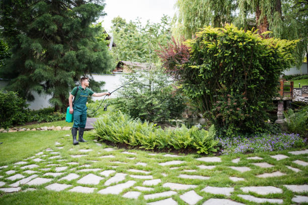 Best Wasp Removal Services  in Thomaston, NY