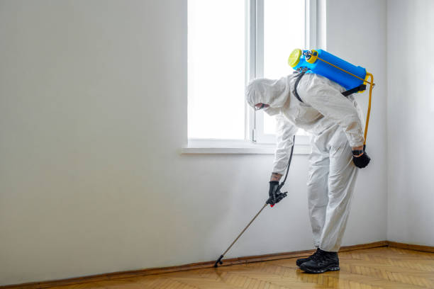 Best Pest Inspection Near Me  in Thomaston, NY