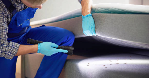 Best Mosquito Control Services  in Thomaston, NY