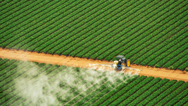 Professional Pest Control in Thomaston, NY
