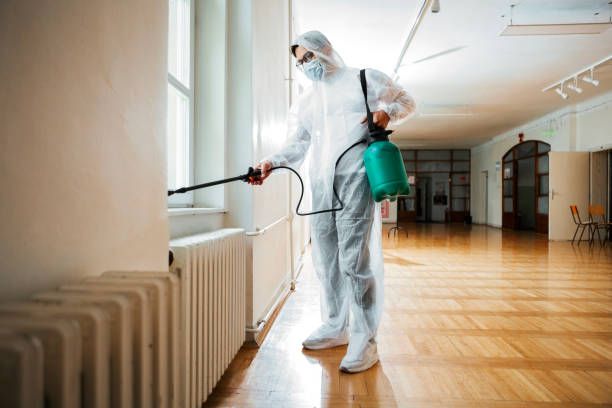 Best Flea Control Services  in Thomaston, NY