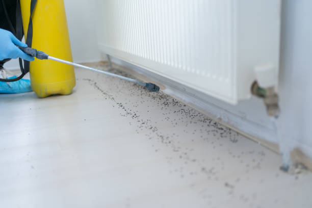 Best Pest Prevention Services  in Thomaston, NY