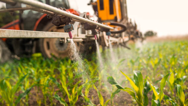 Best Ant Control Services  in Thomaston, NY